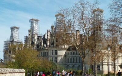 La vie de château pour les classes de 5e du collège !